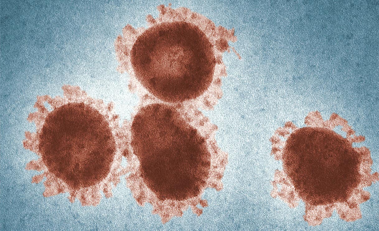Everything you need to know about the coronavirus (COVID-19)
